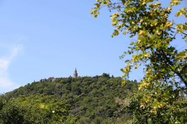 Labin Kroatië Istrië Stad Kerk Stad Heuvel Berg Historisch Boom — Stockfoto