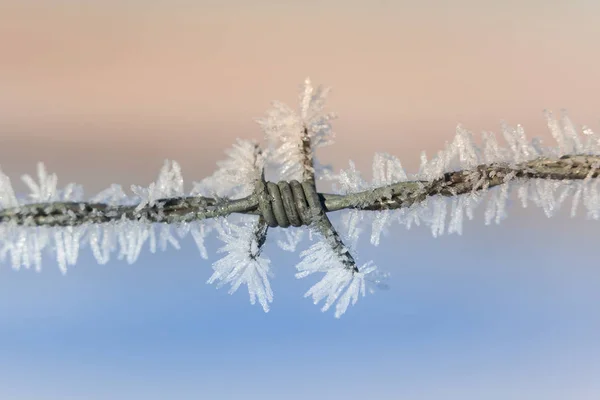 Iskristaller Vinterfrost — Stockfoto