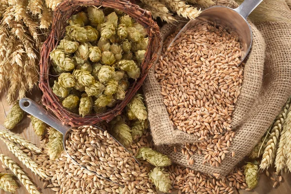 Ingredientes Cerveja Trigo Cevada Lúpulo Malte — Fotografia de Stock