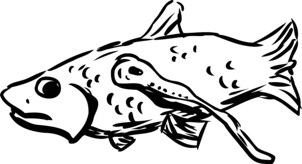 Zarysie Węgorza Przywiązany Nerwowej Ryby Białym Tle — Zdjęcie stockowe