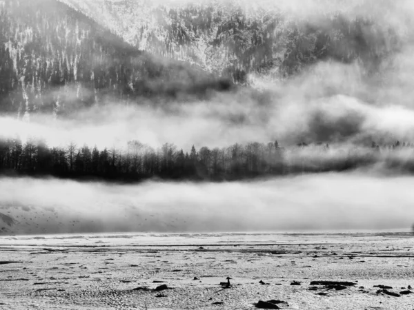 晨雾升起在雪白的希尔文斯泰因水库上 水从水库里被短暂地抽走 形成了一种几乎是神秘的气氛 — 图库照片