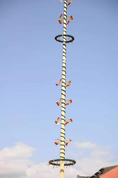 Zwiesel Bayerischer Wald Bayern Maibaum Zunftbaum Tradition Brauchtum Zünfte Handwerk — Stockfoto