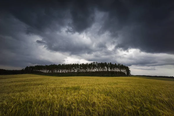 abziehendes storm over a field,cultural landscapes,light grain,dark,bizarre clouds