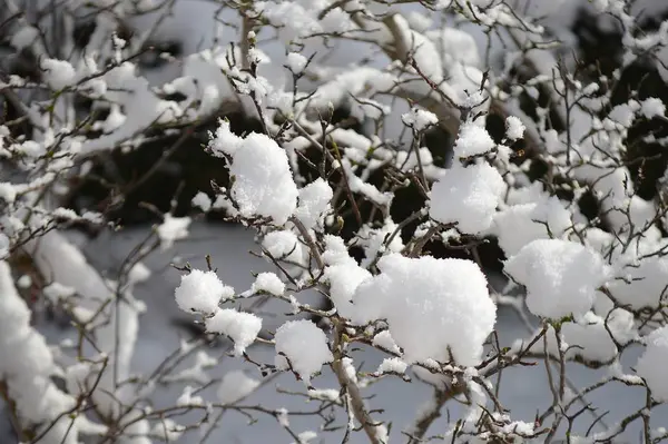 Yılbaşı Yeni Yıl Kartı Için Renkli Bir Geçmiş — Stok fotoğraf