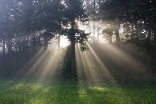 Abziehender Nebel Lichtfelder Mit Schatten Und Wolken Sonnenstrahlen Wolken Über — Stockfoto