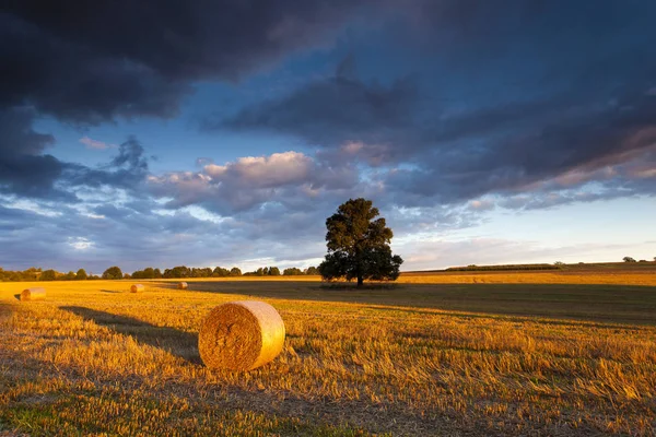 Velden Het Licht Met Schaduwen Wolken Zonnestralen Gekleurde Wolken Landschap — Stockfoto