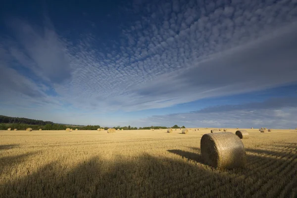 Fields Light Shadows Clouds Sun Rays Colored Clouds Landscape Late — Stock Photo, Image