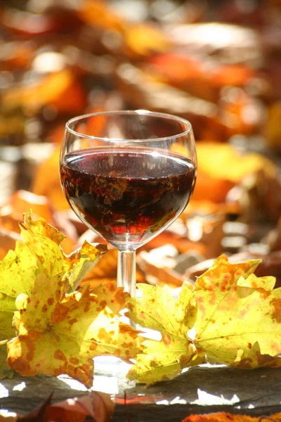 Bicchiere Vino Rosso — Foto Stock