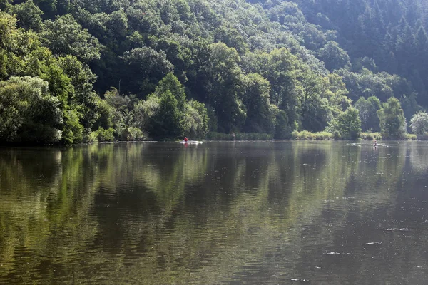 Sports Nautiques Aviron Été Sur Sarre Saarschleife Sarre Allemagne — Photo