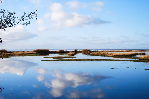 Réflexions Nuageuses Eau Bleue Dans Marais Île Suédoise Oland — Photo