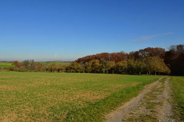 Herbstfelder Und Wälder — Stockfoto