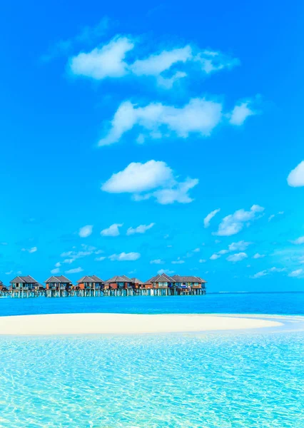 Белый Тропический Пляж Мальдивах — стоковое фото