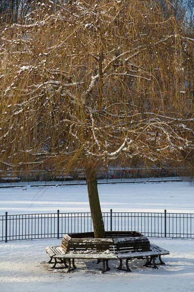 Invierno Parque Friedrichshain Berlín —  Fotos de Stock