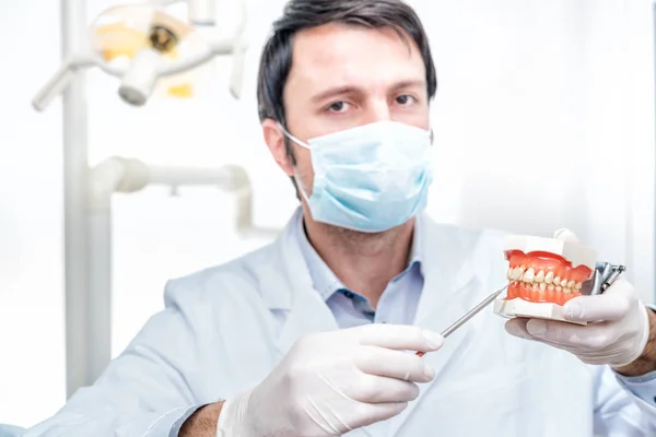 Dentista Presenta Prótesis — Foto de Stock