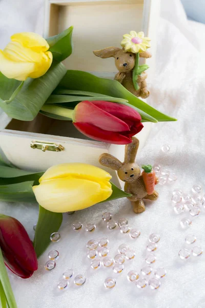 Primavera Despertar Flor Tulipa — Fotografia de Stock