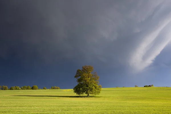 Nuage Orageux Avec Arc Ciel Soleil Brillant Après Pluie Arbre — Photo