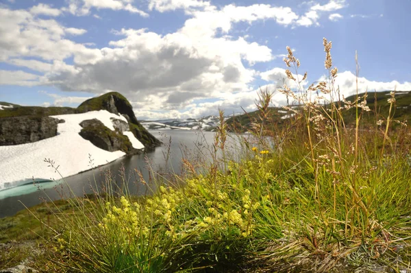 Plateau Entre Voss Vik Sur Sognefjord Nord — Photo