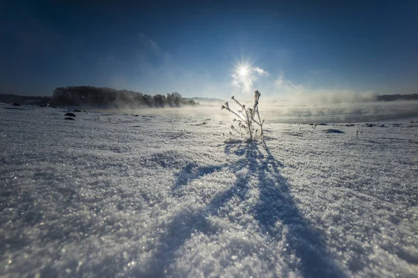 Lever Soleil Dans Neige Avec Brouillard Soleil Levant Bord Lac — Photo