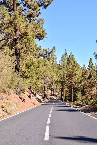 Long Empty Desert Asphalt Road Tenerife Canary Islands Spain — Stock Photo, Image