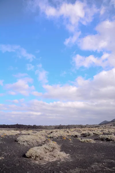Пустынный Пейзаж Канарских Островах — стоковое фото