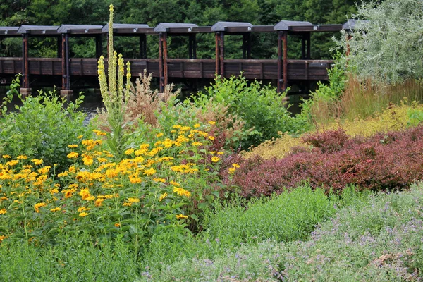 Perennial Garden Summer Weiskirchen Saarland — Stock Photo, Image