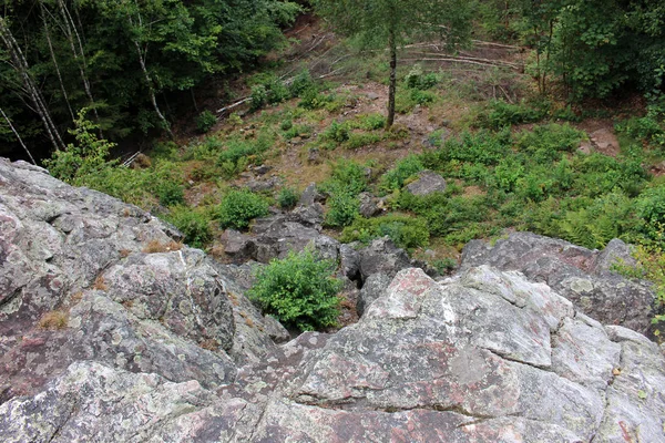 Steep Slope Woods Summer Weiskirchen Saarland Deuschland — Stock Photo, Image