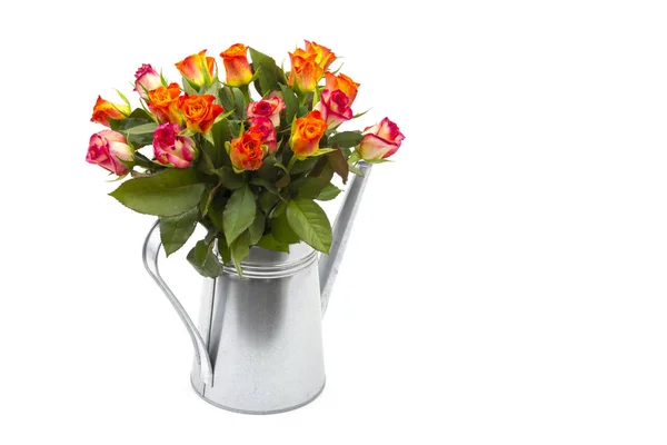 Roses Watering Can White Background — Stock Photo, Image