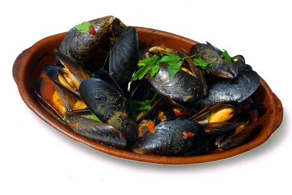 Fresh Mussels White Wine Sauce Cooked Plate — Stock Photo, Image