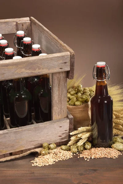 Bira Kutusu Bira Şişesi Buğday Arpa Şerbet Malt — Stok fotoğraf