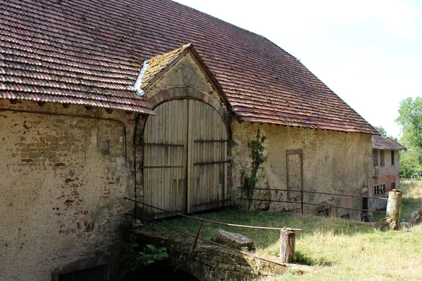 Cebada Vieja Campo Verano Saarland Alemania —  Fotos de Stock