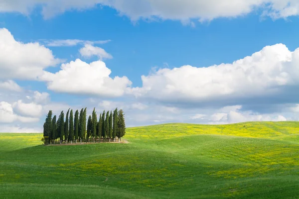 Tuscan Táj Előtt Gyönyörű Felhős — Stock Fotó