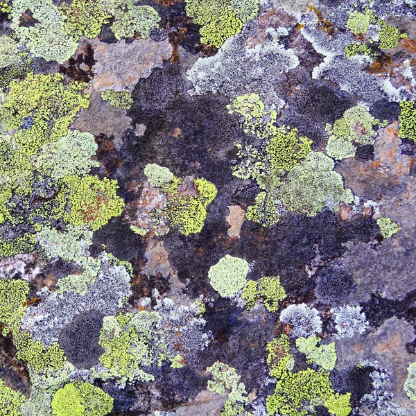 Dokulu Renkli Mineral Görüntü — Stok fotoğraf