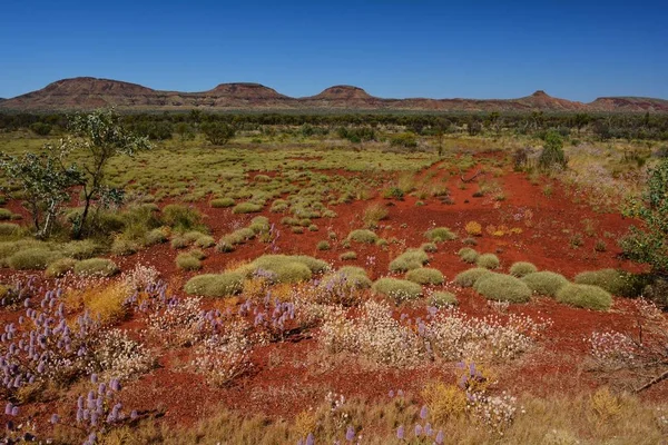 Pasmo Górskie Pasmo Hamersley Pilbara Zachodniej Australii — Zdjęcie stockowe