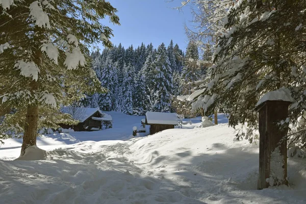 Malerischer Blick Auf Die Verschneite Winterlandschaft — Stockfoto