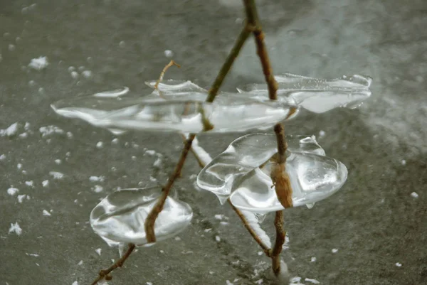 Formaciгіn Del Hielo Arte Natural Formado Despuг Inundaciгіn Helada Severa —  Fotos de Stock