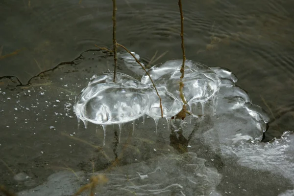 冰的形成 自然艺术 是在大雪中高水后产生的 — 图库照片