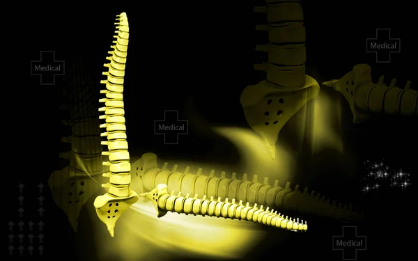 Цифровая Иллюстрация Позвоночника Цвете Фона — стоковое фото