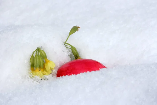 Oeuf Pâques Dans Neige Quand Neige Pâques — Photo