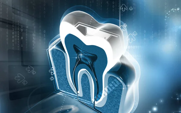 Digital Illustration Teeth Cross Section Colour Background — ストック写真