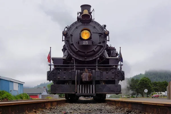 Старый Поезд Лесу — стоковое фото