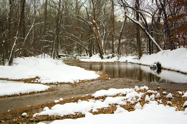 Arroyo Que Fluye Través Bosque Cubierto Nieve — Foto de Stock