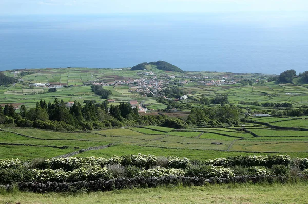 Paisagem Rural Ilha Dos Açores Terceira Portugal — Fotografia de Stock
