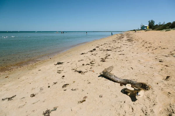 Una Foto Una Delle Spiagge Melbourne Con Tronco Primo Piano — Foto Stock