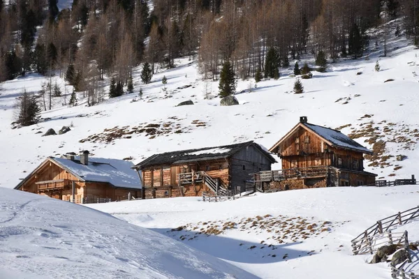 Stallersattel Tyrol Oriental Report Pâturage Cabane Cabane Rondins Montagne — Photo