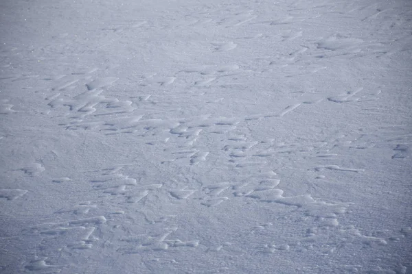 Stallersattel Defereggen Deriva Ghiaccio Neve Luce Ombra Inverno — Foto Stock