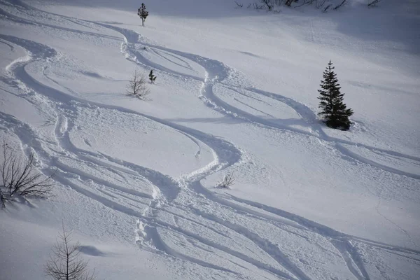 Stallersattel Defereggen Valley Deportes Invierno Esquí Esquí Fuera Pista Pistas —  Fotos de Stock