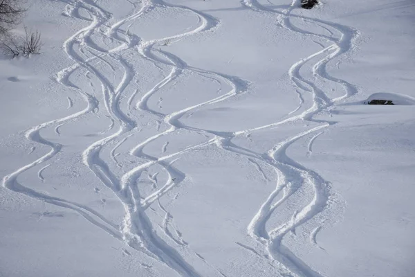 Stallersattel Defereggen Valley 冬のスポーツ スキー オフスキー トラック 雪の中のトラック スキー — ストック写真