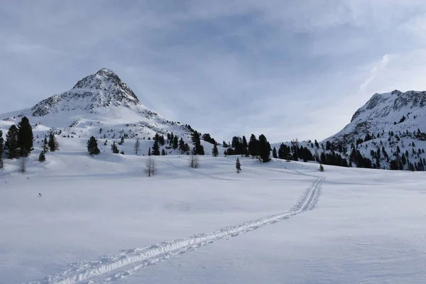 Stallersattel Defereggen Valley Winter Sports Skiing Piste Skiing Tracks Tracks — Stock Photo, Image