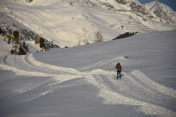 Deportes Invierno Esquí Fondo Esquí Esquí Fondo Esquiadores Pista Sendero — Foto de Stock