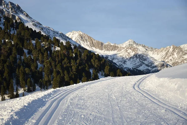 Зимние Виды Спорта Беговые Лыжи Лыжи Лыжники Склон Тропа Вечернее — стоковое фото